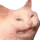 catgery