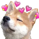 shibelove