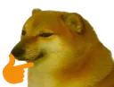 m_cheemsthink
