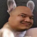 tashidog