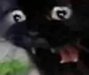cat Discord Emoji