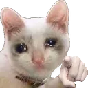 sadyou