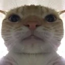 BRUH