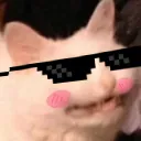 EpicCat EpicCat