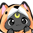 FoxOwO