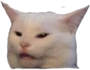 confusedcatto Discord emoji