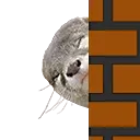 otterPeek otterPeek
