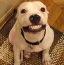 eeeeee eeeeee