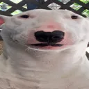 walter