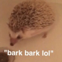 :barkbark: Discord Emote