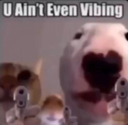 :youaintvibin: Discord Emote
