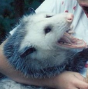 AAAAAAAAAAAAAAAAAA
