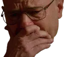 waltcry