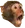PogMonkey