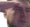RipF RipF