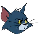 tom