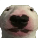 D7_Walter D7_Walter
