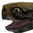 TurtleYay