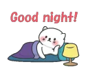 night