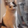 smilecat