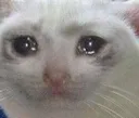 crycat