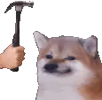 Bonk
