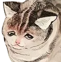 Cat6