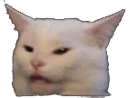 catw Discord emoji