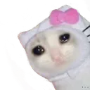 weep_hellokitty Discord Emoji