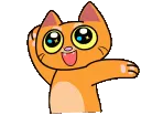 n_kitty_crazy