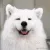 floofy