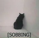sob