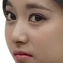 TzuyuFeelsWeirdMan