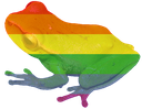 froggay Discord emoji