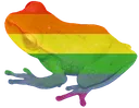 froggay