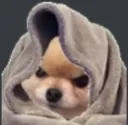 angrysleepdoge Discord Emoji