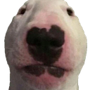 walter Discord emoji