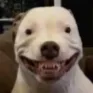 hehe