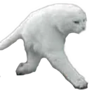 Catwalking Discord Emoji