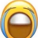 BIGCRY
