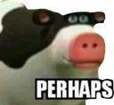 perhaps