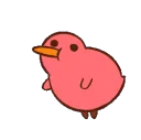 kiwikiwi