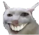 DOI
