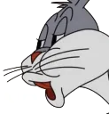 No