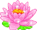 vaporlotus
