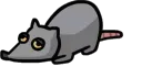 ratwiggle
