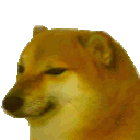 bonkgif Discord emoji