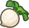 turnip turnip