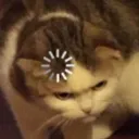 error404