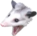 aaa
